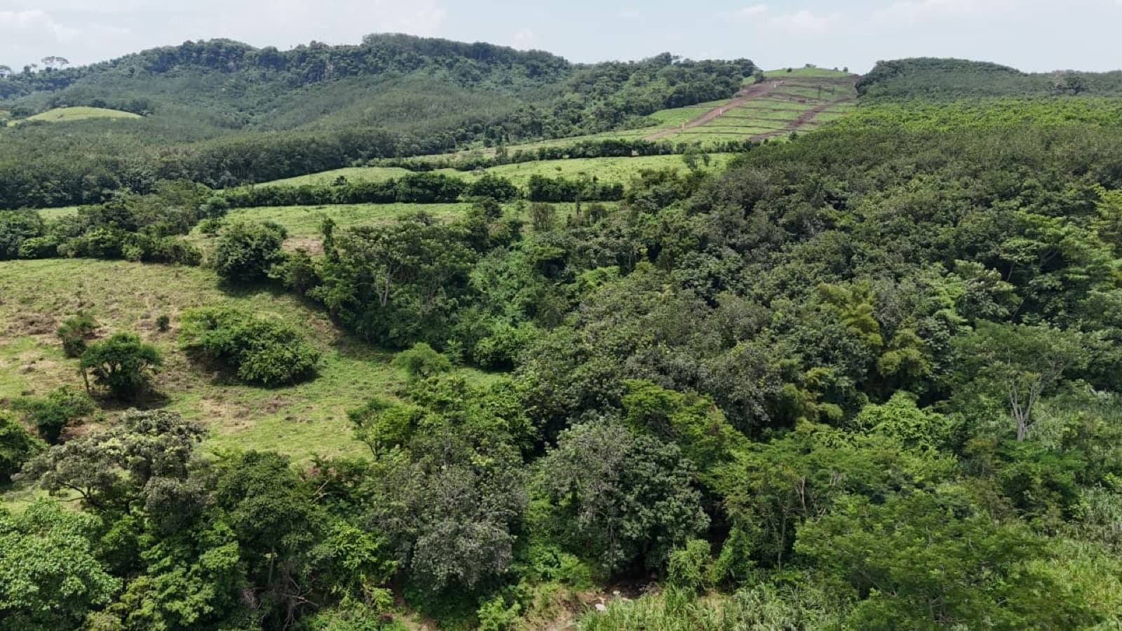 Residenciales Bella Vista — foto 4